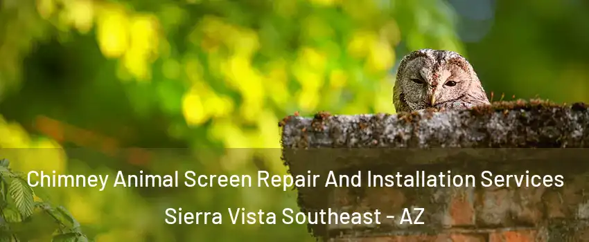  Chimney Animal Screen Repair And Installation Services Sierra Vista Southeast - AZ