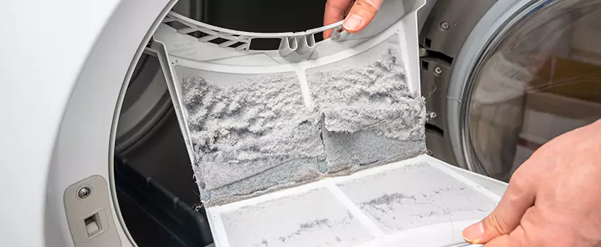 Best Dryer Lint Removal Company in Sierra Vista Southeast, Arizona