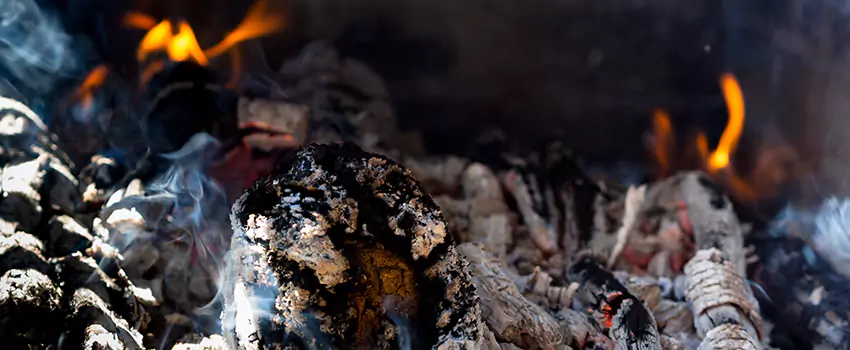 Creosote Removal Experts in Sierra Vista Southeast, AZ